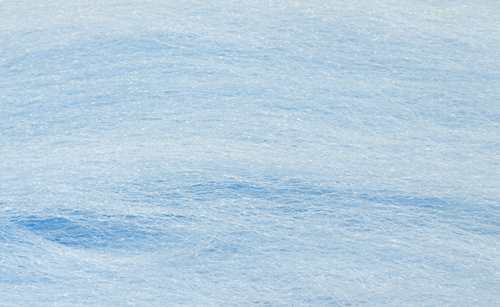 Predator Fibres Light Blue